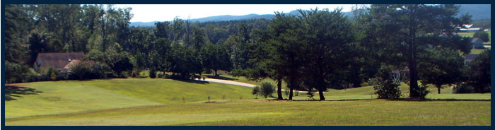 Slideshow Image4
