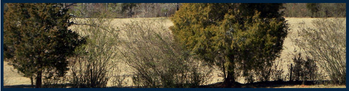Slideshow Image2