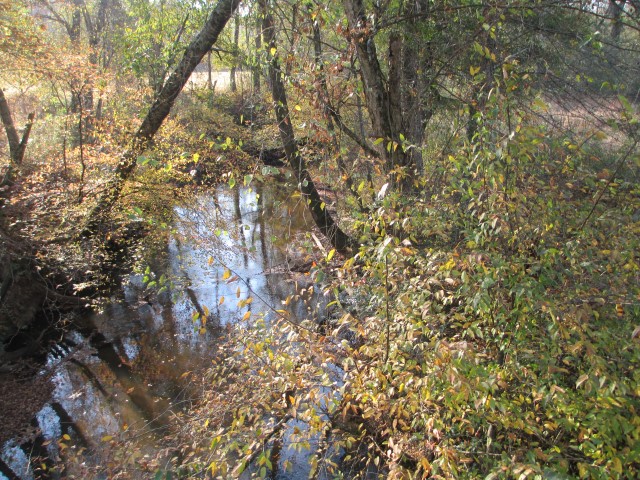 hardwoods with creek in Tamassee SC
