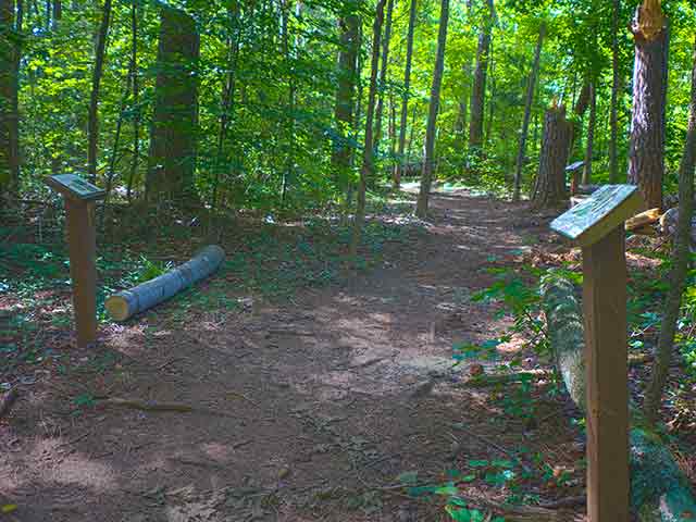 Hiking Trail at South Cove County Park