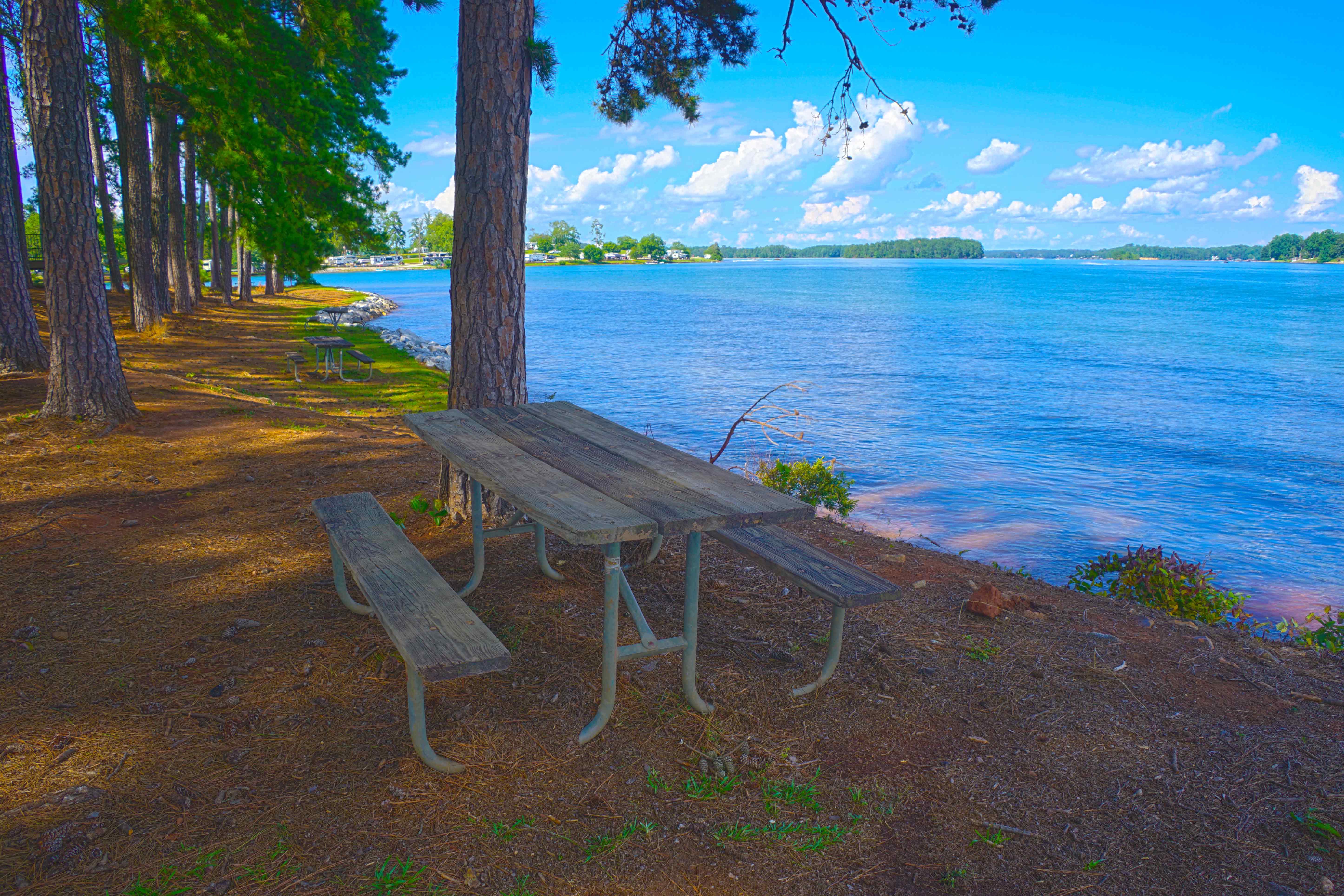 Picnic at South Cove County Park